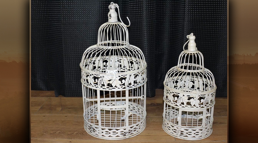 cage oiseau de decoration