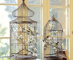 cage oiseau de decoration