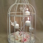 cage oiseaux pour decoration