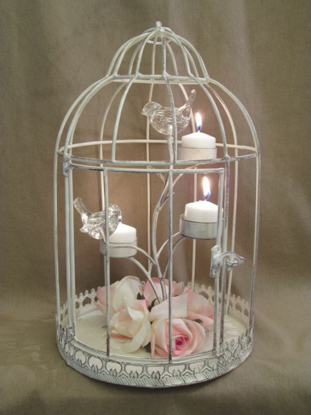 cage oiseaux pour decoration