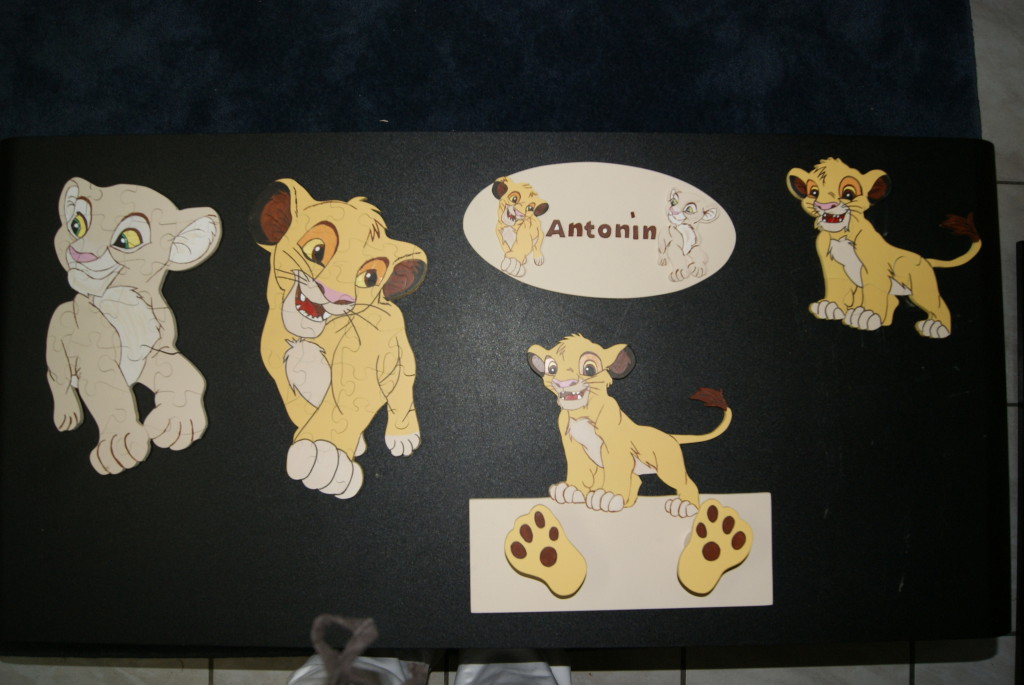decoration chambre le roi lion