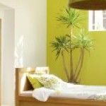 decoration chambre nature vert