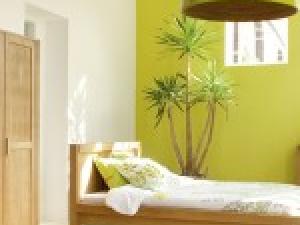 decoration chambre nature vert