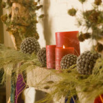 decoration maison bio