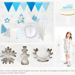 fabriquer deco reine des neiges
