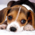 week end sympa autour de bordeaux