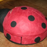 boite a bijoux coccinelle