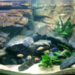 fabriquer decor resine aquarium