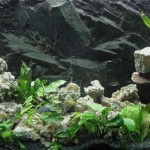 fabriquer decor resine aquarium