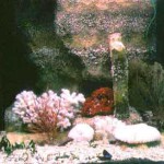 fabriquer decor resine aquarium