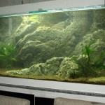 fabriquer decor resine aquarium