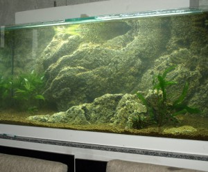 fabriquer decor resine aquarium