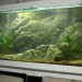 fabriquer decor resine aquarium