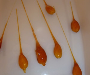 faire decoration en caramel