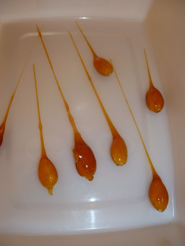 faire decoration en caramel