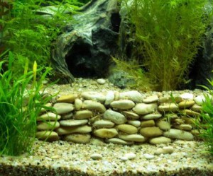 faire decoration pour aquarium