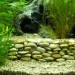 faire decoration pour aquarium