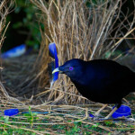 faire sa decoration d interieur