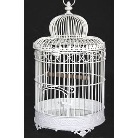 cage oiseau decorative occasion