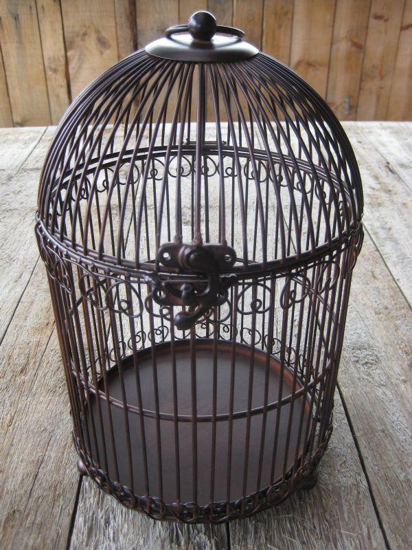 cage oiseau decorative occasion
