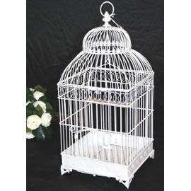 cage oiseau decorative occasion