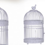 cage oiseaux decorative