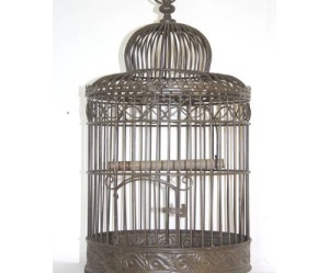 cage oiseaux decorative