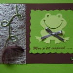 deco grenouille a faire soi meme