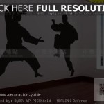 decoration chambre karate