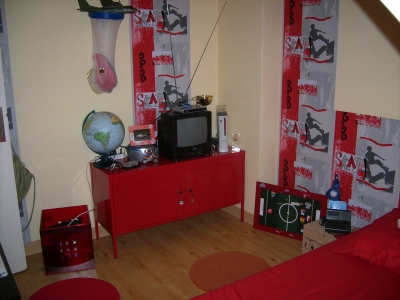 decoration chambre skate