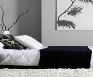 decoration pour chambre en noir et blanc