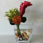 fabriquer deco exotique