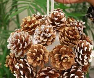 fabriquer deco noel pomme de pin
