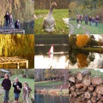 weekend sympa entre amis