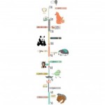 deco pour mesurer bebe