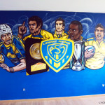 decoration de chambre rugby