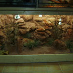 faire decoration terrarium