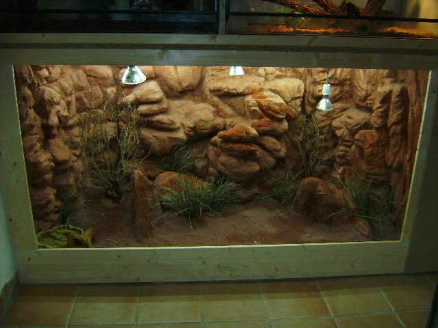 faire decoration terrarium