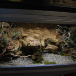 faire decoration terrarium