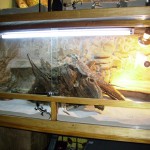 faire decoration terrarium