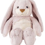 faire un doudou bouillotte