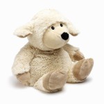 faire un doudou bouillotte