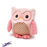 faire un doudou bouillotte