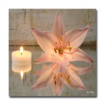 tableau zen pour chambre a coucher