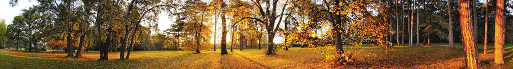 week end sympa novembre