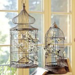 cage oiseaux en deco