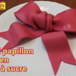 faire decoration en pate a sucre