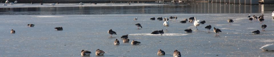 week end sympa en hiver