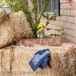 faire une decoration western