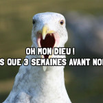 week end sympa en decembre